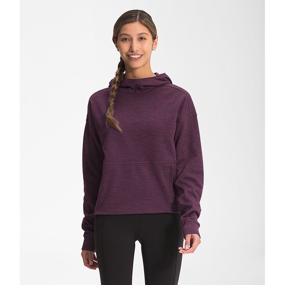 The North Face Fleece Womens Australia - The North Face Canyonlands Pullover Crop Burgundy / Black (